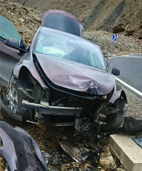 司机高反致特斯拉Model Y时速100冲出道路：没起火没爆炸