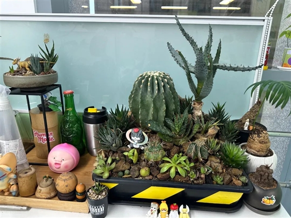 上班期间不会“高效休息”就亏大了！快来学学保证不后悔